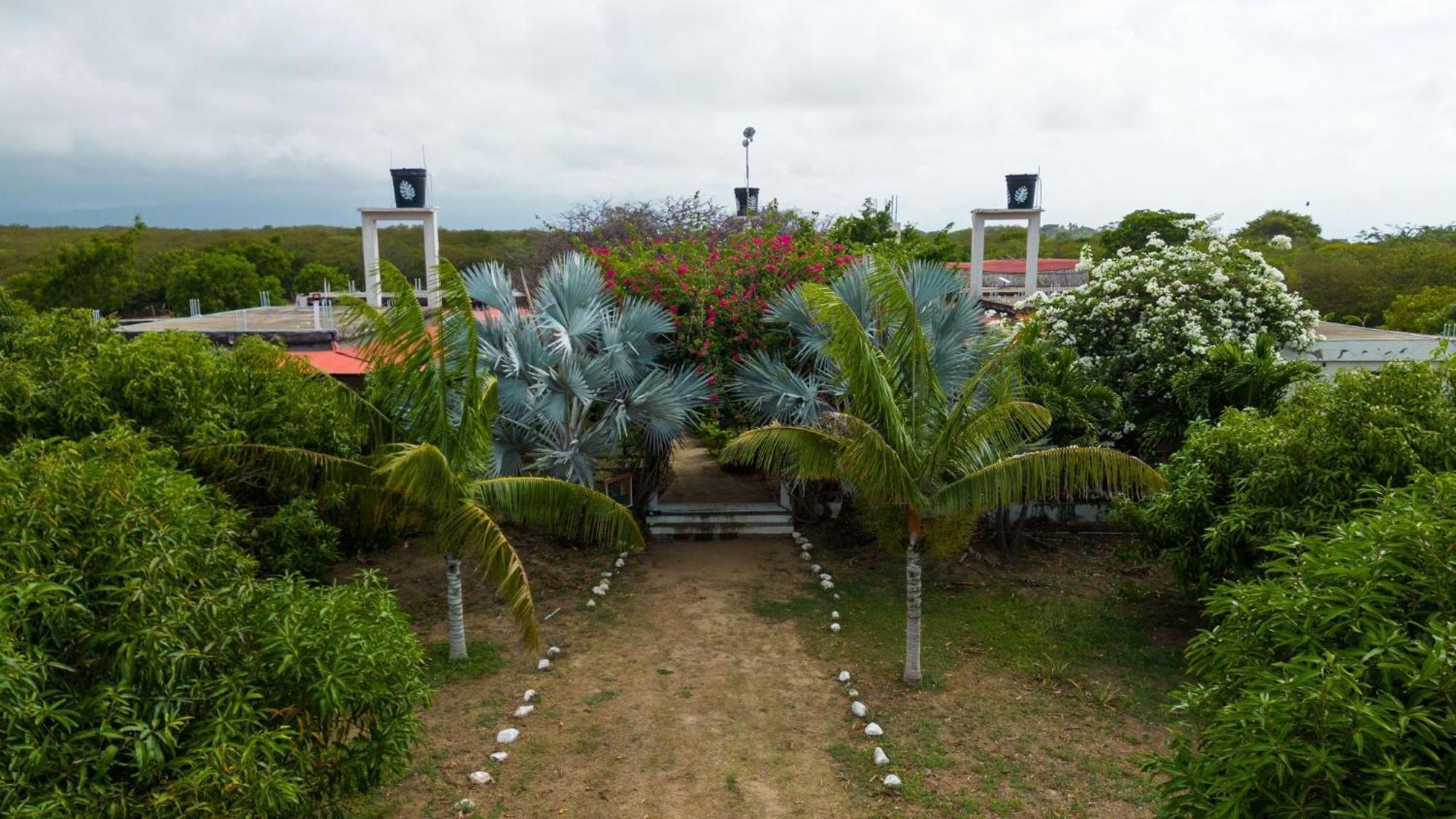 Coccoloba Beach Hostel Dibulla Buitenkant foto