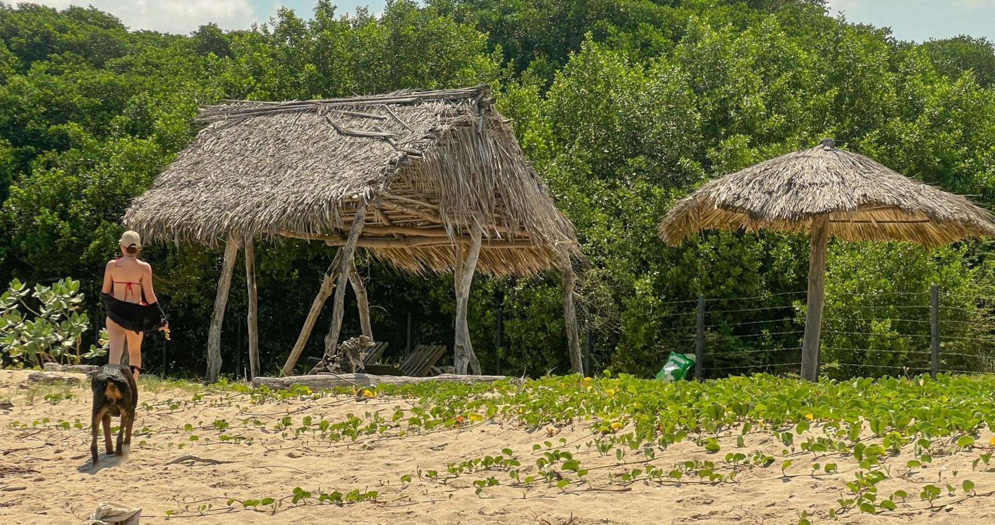 Coccoloba Beach Hostel Dibulla Buitenkant foto