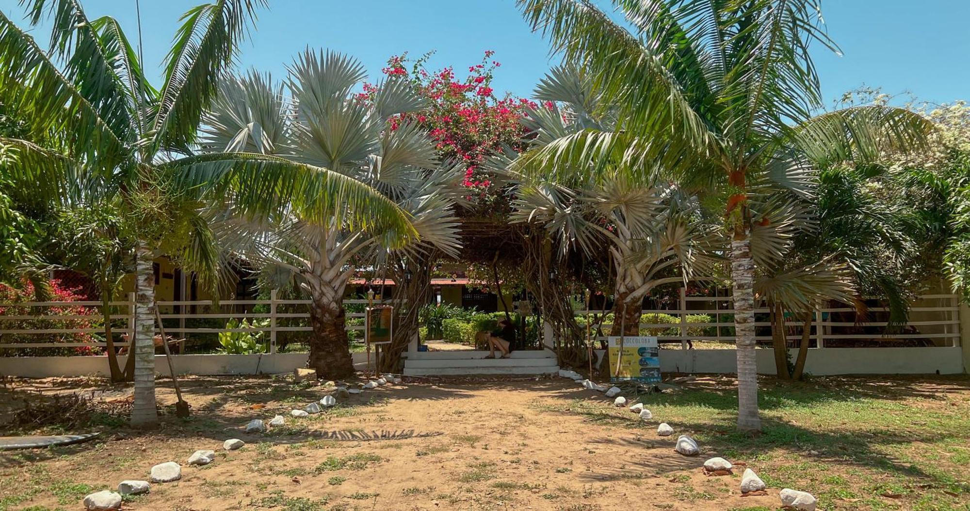 Coccoloba Beach Hostel Dibulla Buitenkant foto