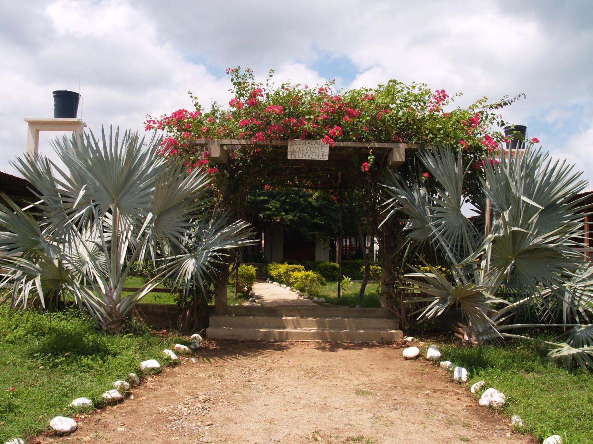 Coccoloba Beach Hostel Dibulla Buitenkant foto