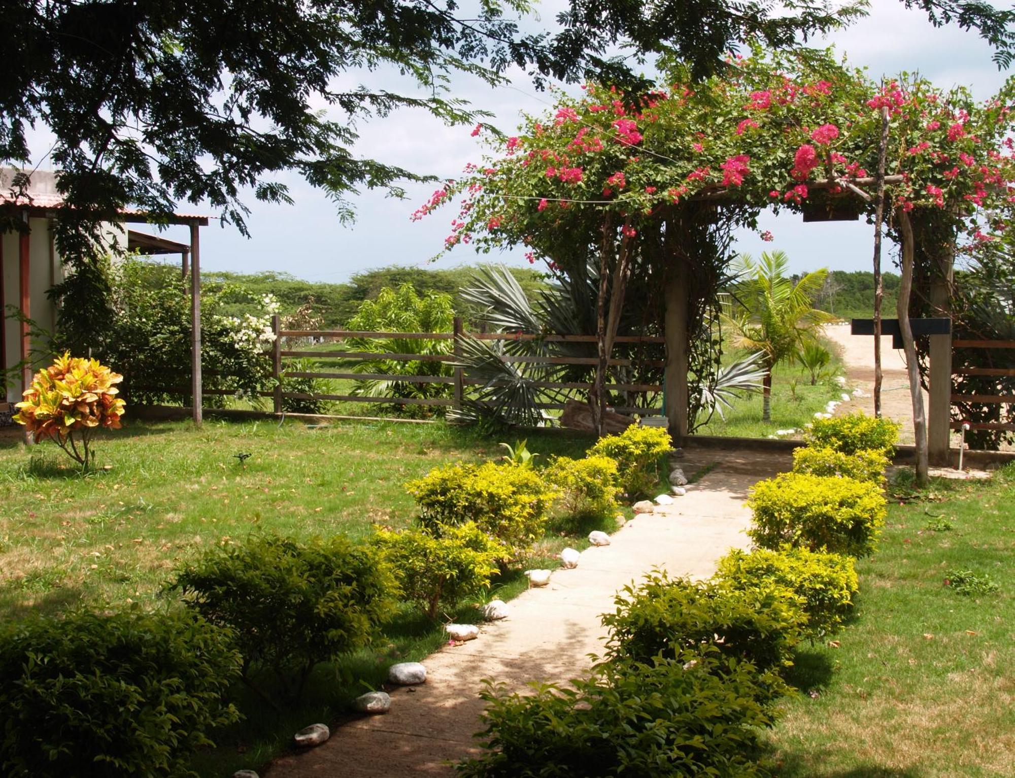 Coccoloba Beach Hostel Dibulla Buitenkant foto